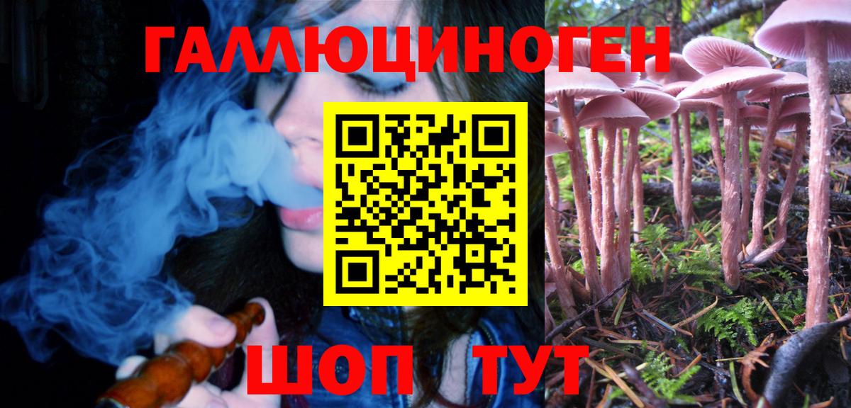 Галлюциногенные грибы Magic Shrooms Городец